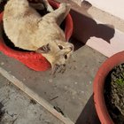 My plant has been pretty loud lately