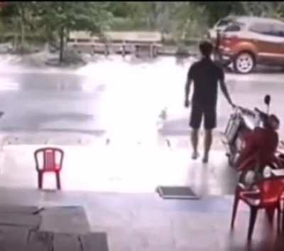 Oh shit, the doggo