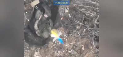 I cut the most upvoted posts of the last month into one compilation. [Official DronedOrc Best Of #3]