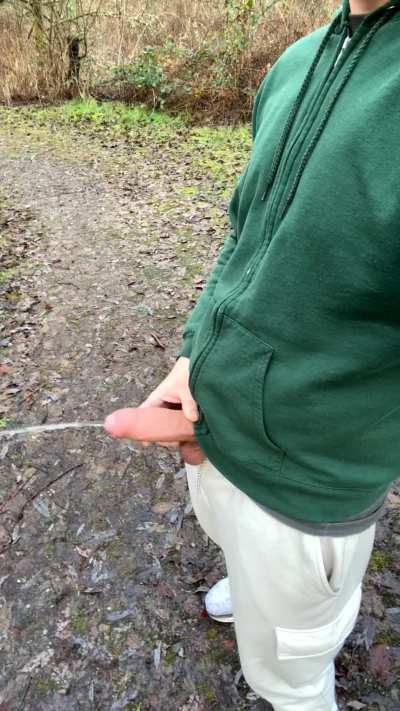 On the trail