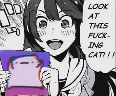 The cat got some moves