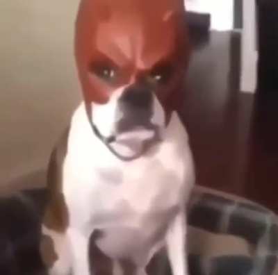 >:(