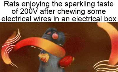 Gourmet shit