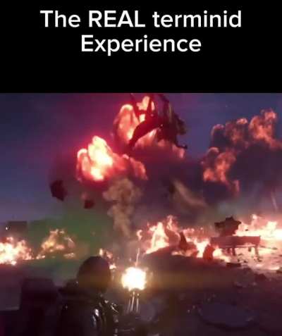 The Terminid Experience