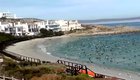 Effects of Lockdown: Nature returns, Sardines and Birds conquer the beach