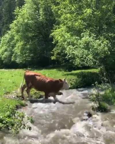 Waterfalls of switzerland