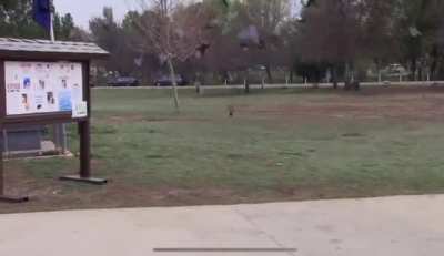 Playing Hunt with your overhyped friend for the first time…