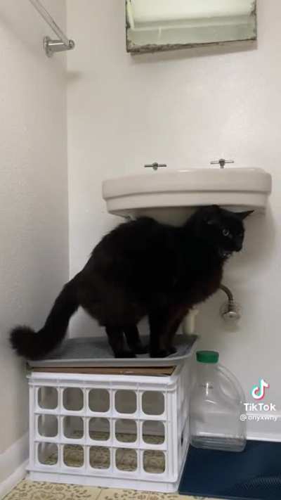 Occupied!