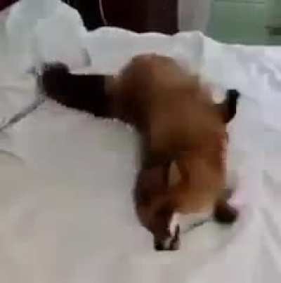 Too much energy