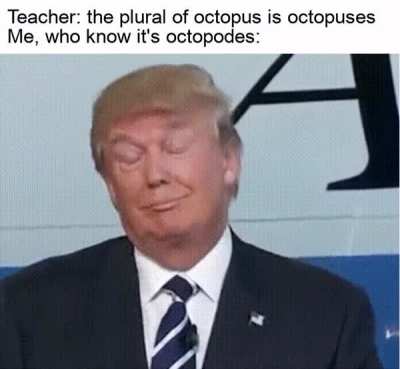 It is definitely not octopi, it's labeled as a hypercorrection