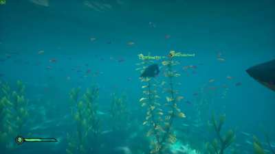 So I was playing Sea Of Theives with some mates... (repost Bc last one wasn’t “perfectly cut”)