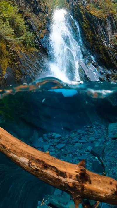 🔥 The clarity of this river in Alaska 🔥