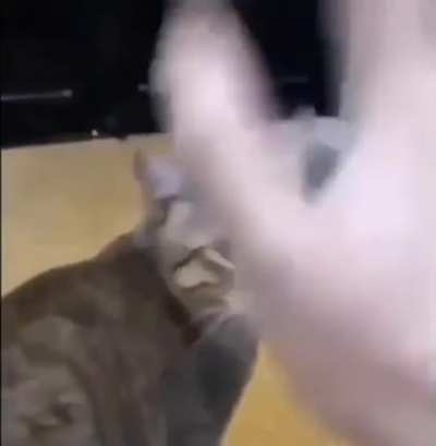 Rock Paper Scissors