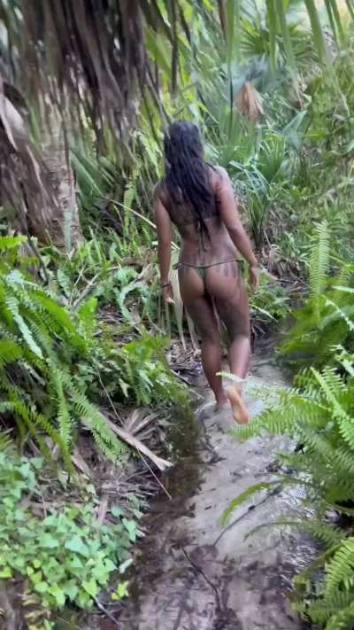 Tits at the springs