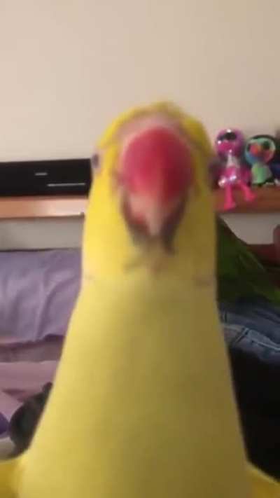 Wait for it...