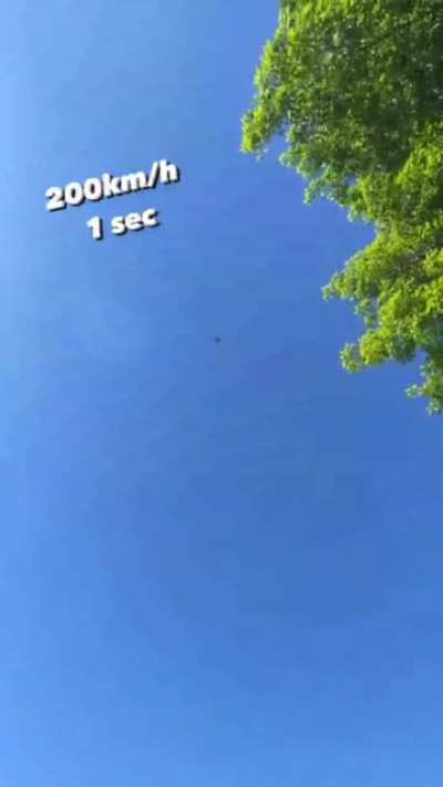 My Drone people need me