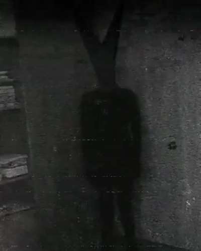 Cursed_shadows (oc)