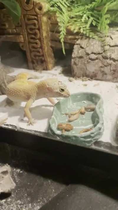 Dinner time she has a happy girl ;)