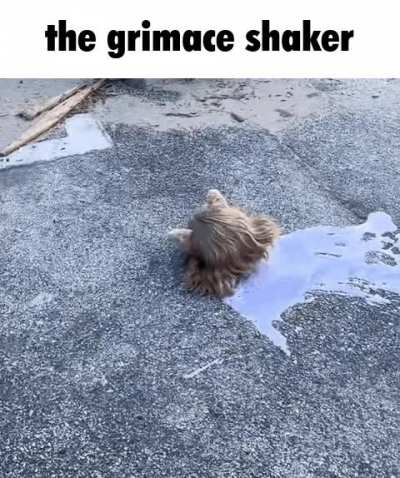 Neco arc drinking the grimace shaker