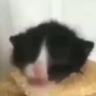 Vrom