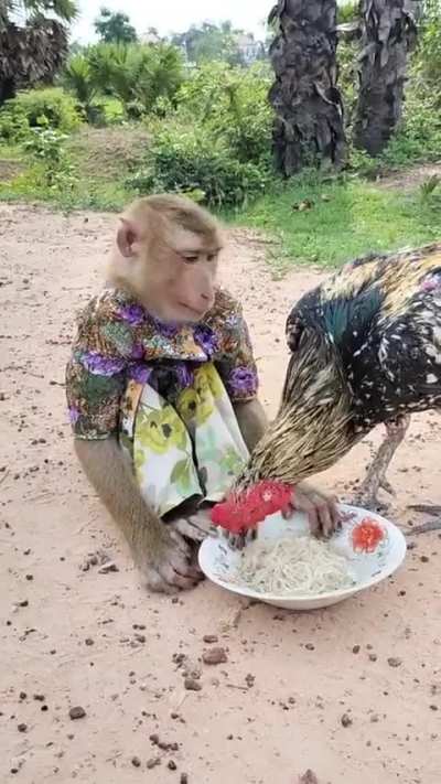 Monke