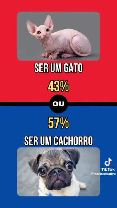 Perguntas bem duvidosas parte 1