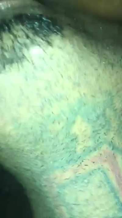 Pussy taste good