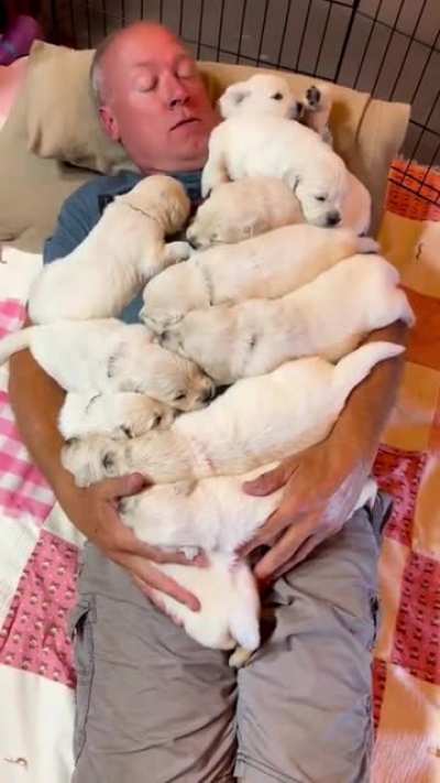 My dream blanket :D