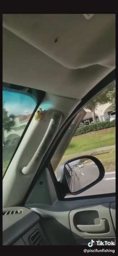 Videoing while driving is a great idea