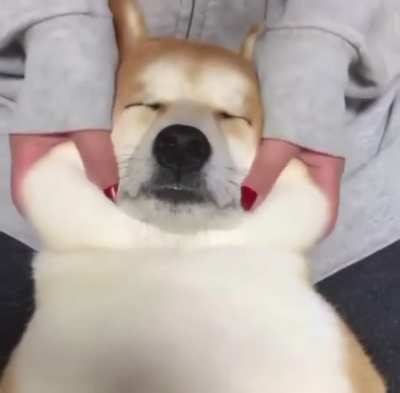 I am preparing my DOGE portfolio for a spike.