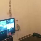 You ever Lackin?!!