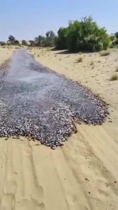 WTF?!