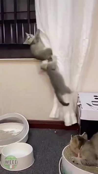 so...what you doing later, me?