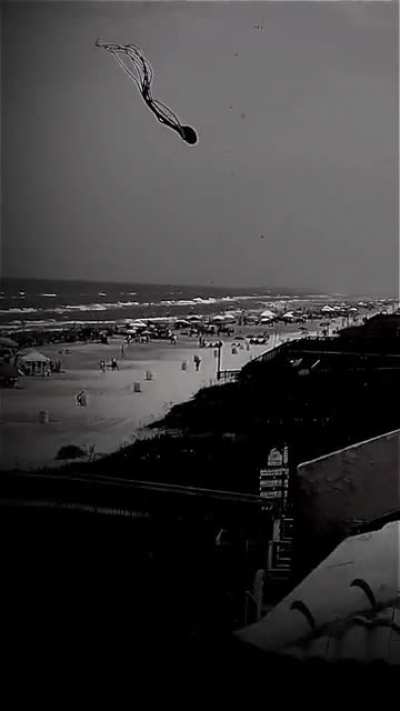 Just a day at the beach
