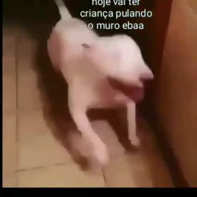 🥳
