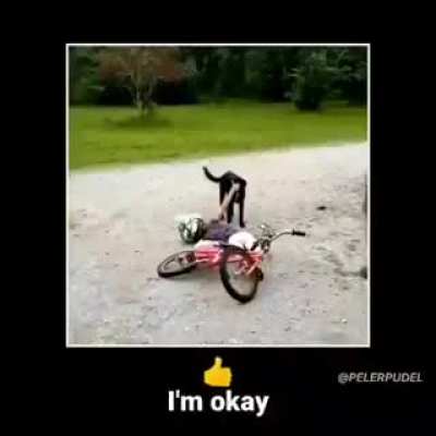 Im okay👍