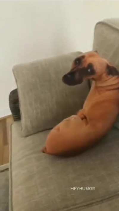 Thats gonna be in my nightmares
