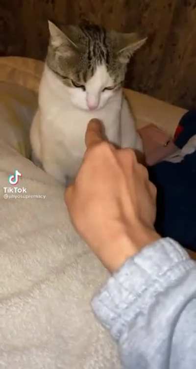 That cat wants her thumb