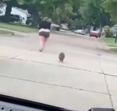WCGW First time running in 30 years be like