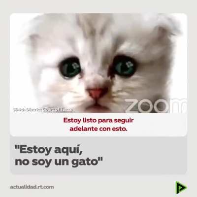 XD