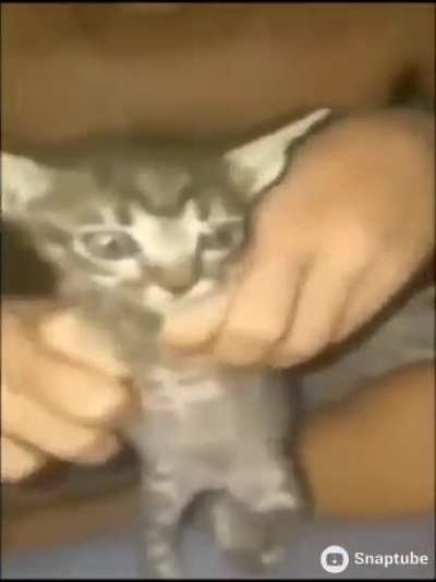 😾
