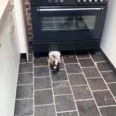 He lives there