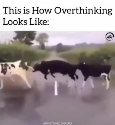 me_irl