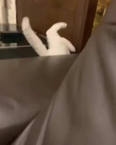 Looking for a new hiding spot
