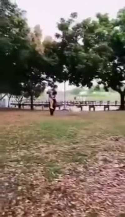 Goose defense