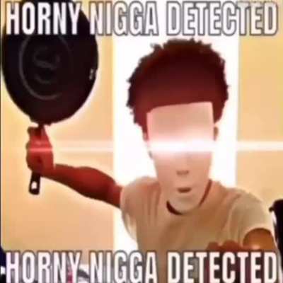 Horny n word detected