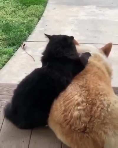Just the two of us