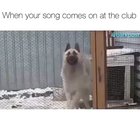 I’ve got all the suave moves