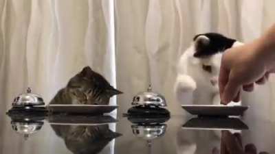 My favorite video ever