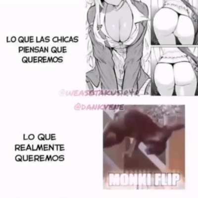 monke flip